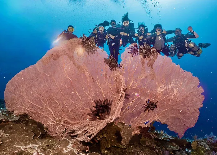 Sanctum Una Una Eco Dive Resort