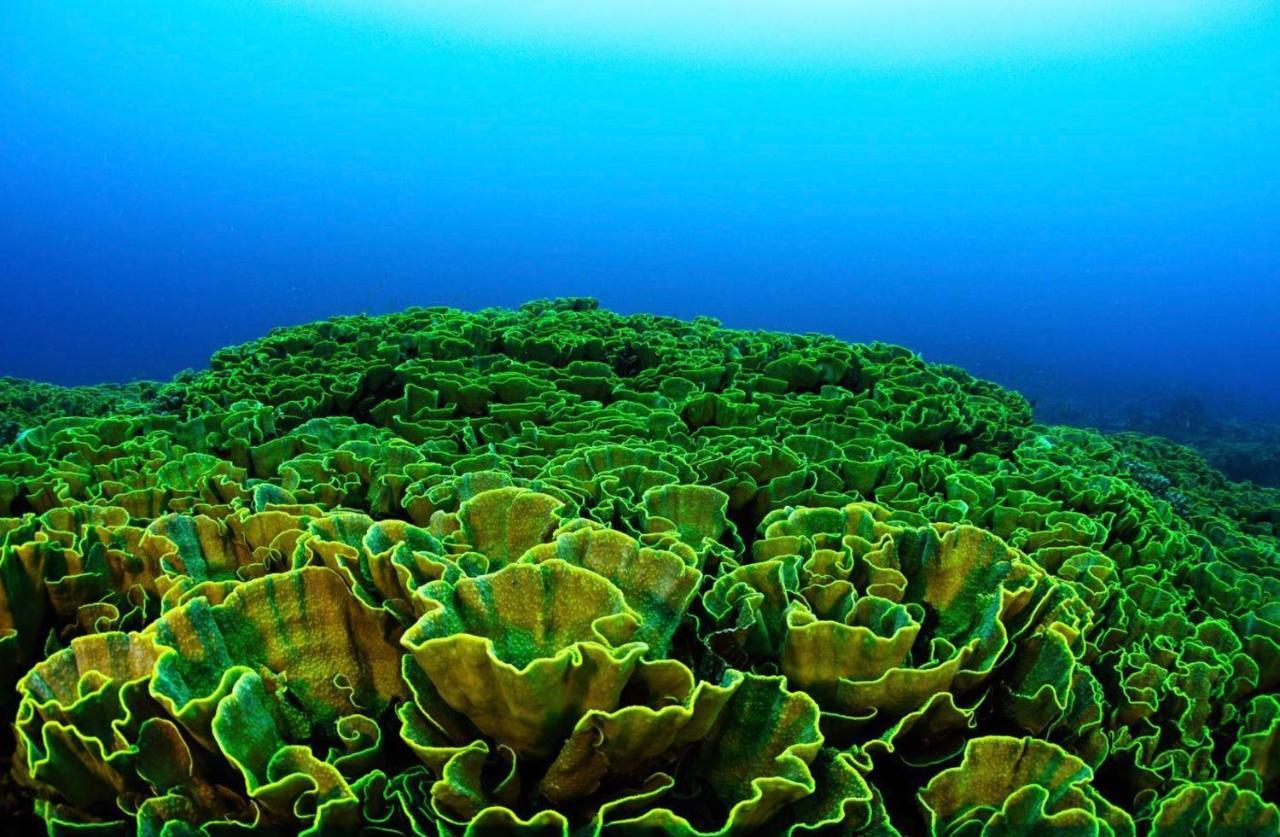Sanctum Eco Dive Gasthof
