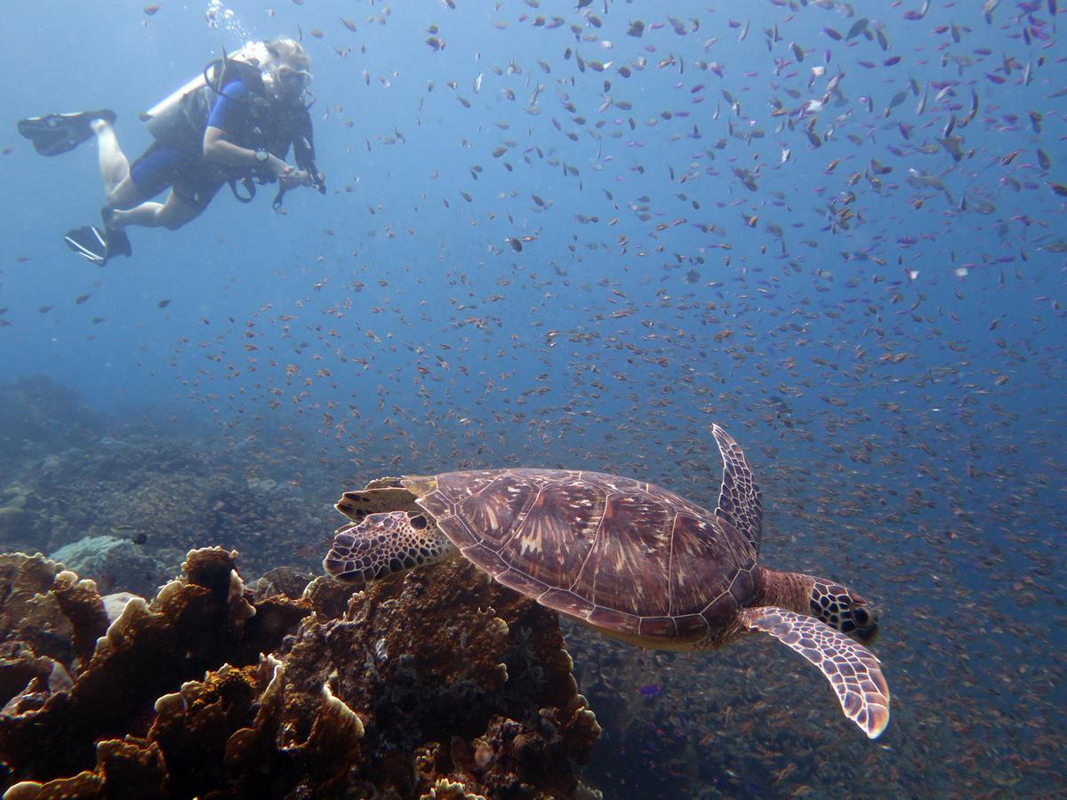Gasthof Sanctum Eco Dive